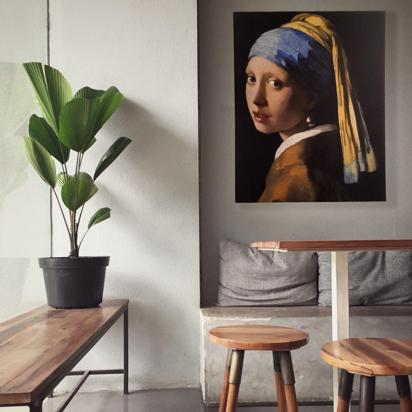Meisje met de Parel - Vermeer - NoviSono