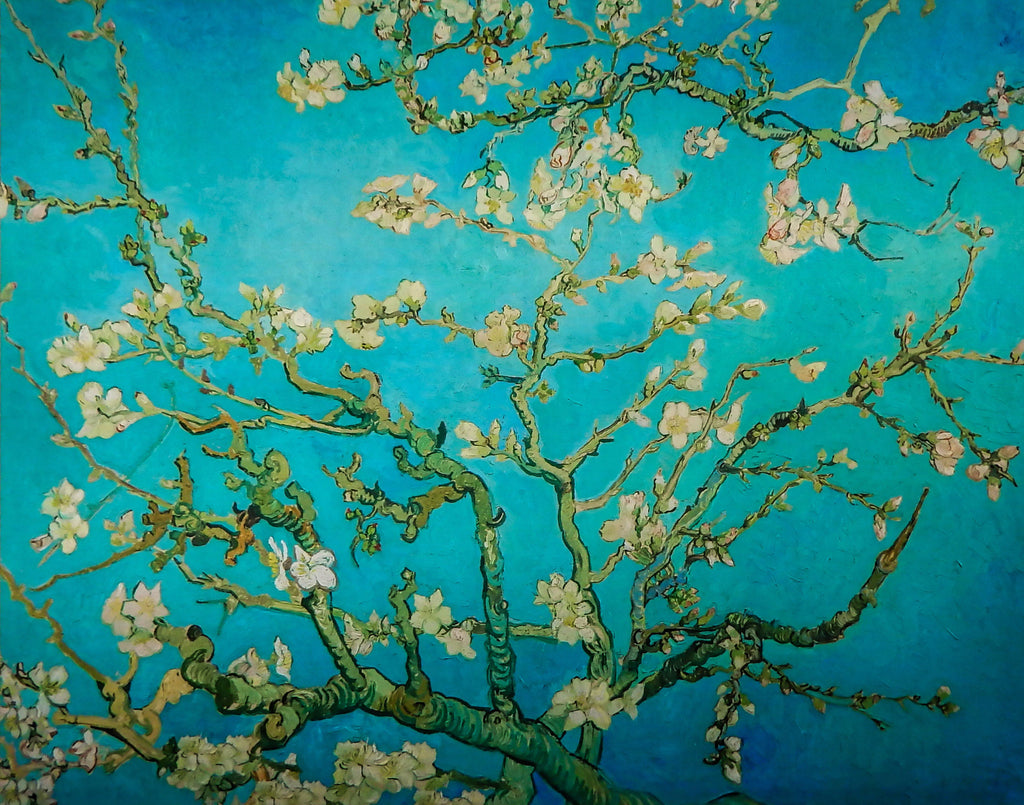 Amandelbloesem - van Gogh - NoviSono