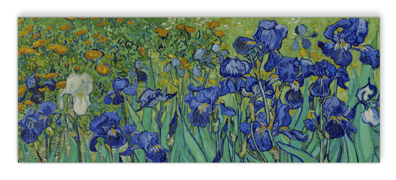 Irissen - Van Gogh - NoviSono